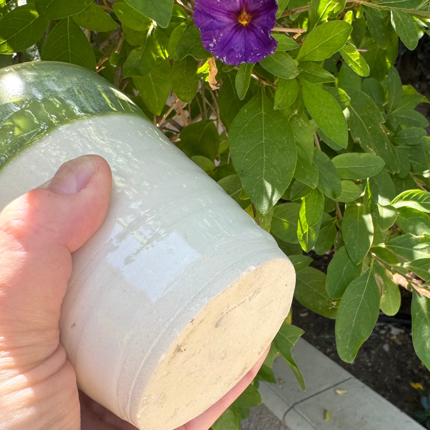 Mossy Green & Cream Tumbler | Wheel Thrown Stoneware | Handmade Pottery Cup