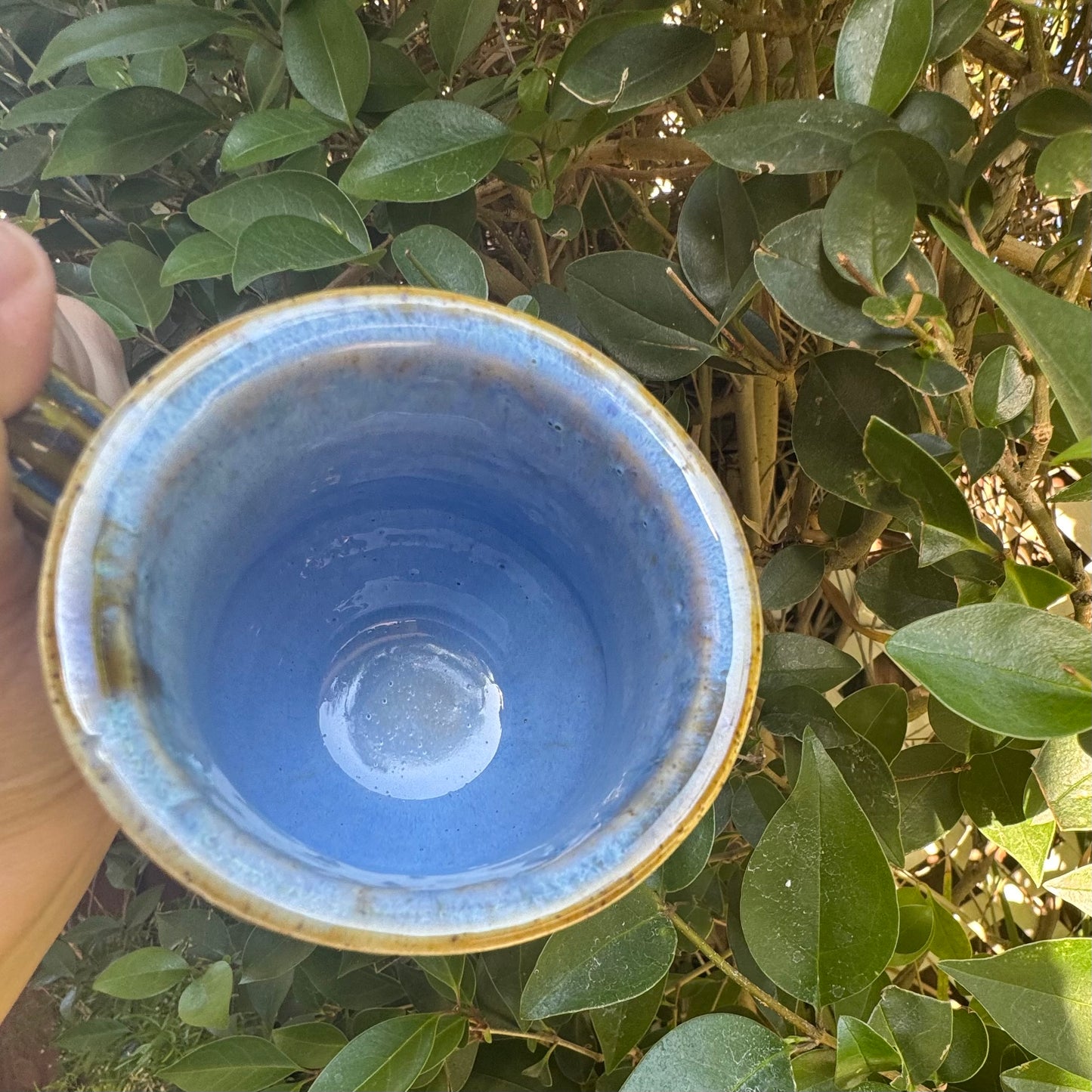 Castile Blue & Turkish Amber 12 Oz Stoneware Mug No 3